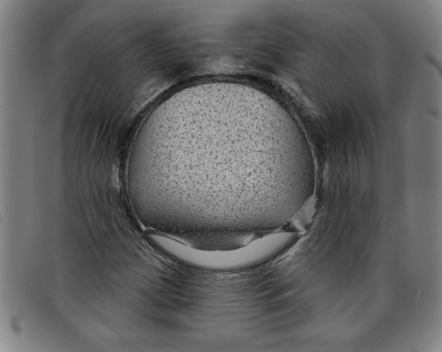 X0000097871209200804041543