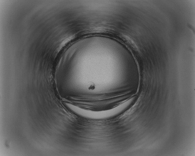 X0000097871210200804041543