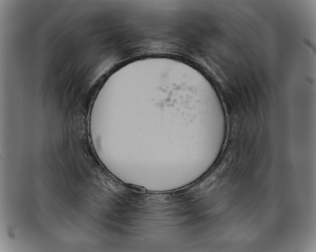 X0000097871211200804041543
