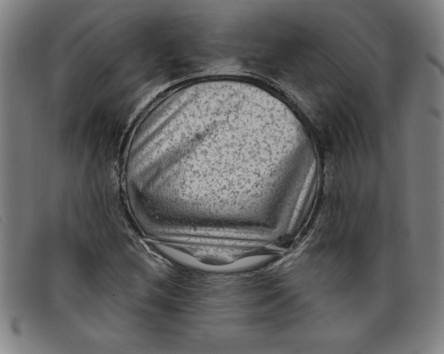 X0000097871212200804041543