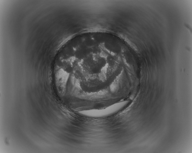 X0000097871213200804041543