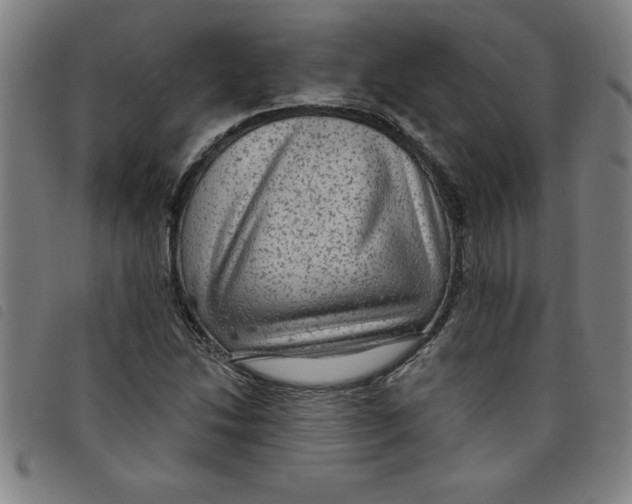 X0000097871214200804041543