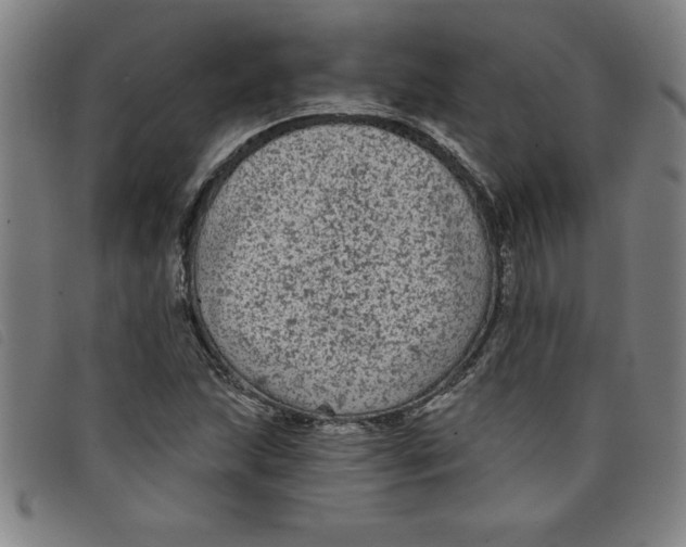 X0000097871215200804041543