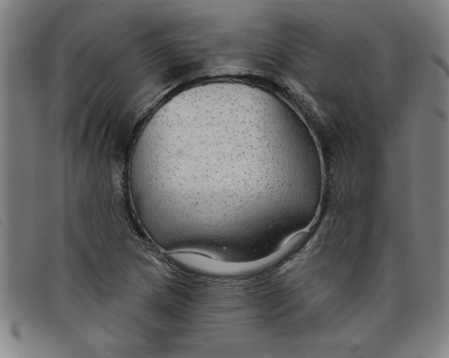 X0000097871217200804041543