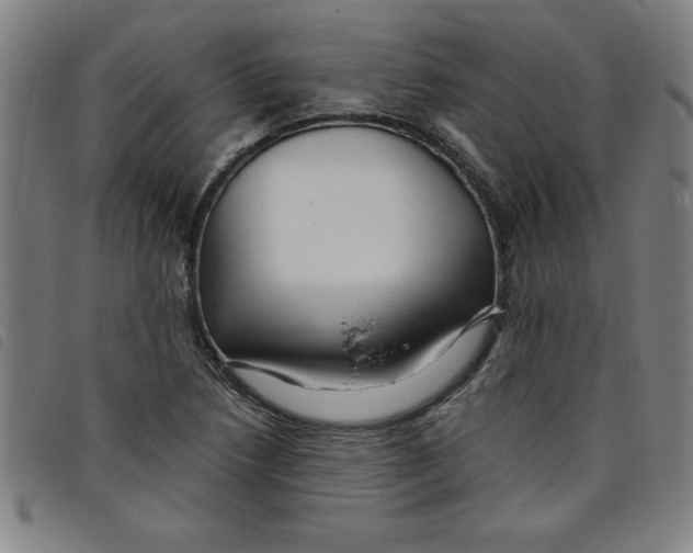 X0000097871218200804041543