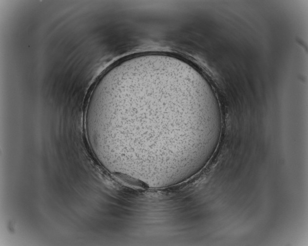 X0000097871220200804041543