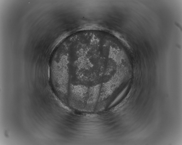 X0000097871221200804041543