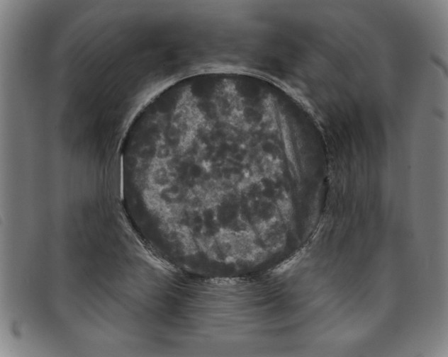X0000097871223200804041543