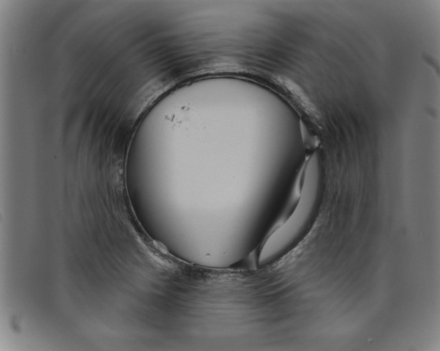 X0000097871225200804041543