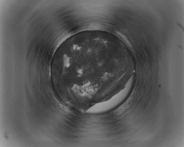 X0000097871226200804041543