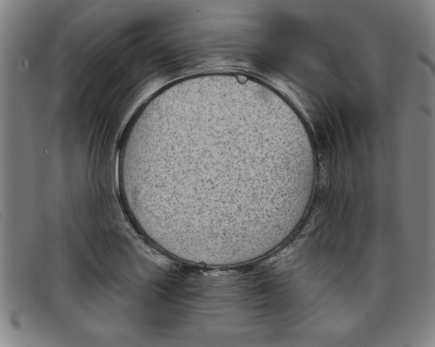 X0000097871227200804041543