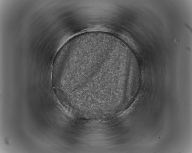 X0000097871228200804041543