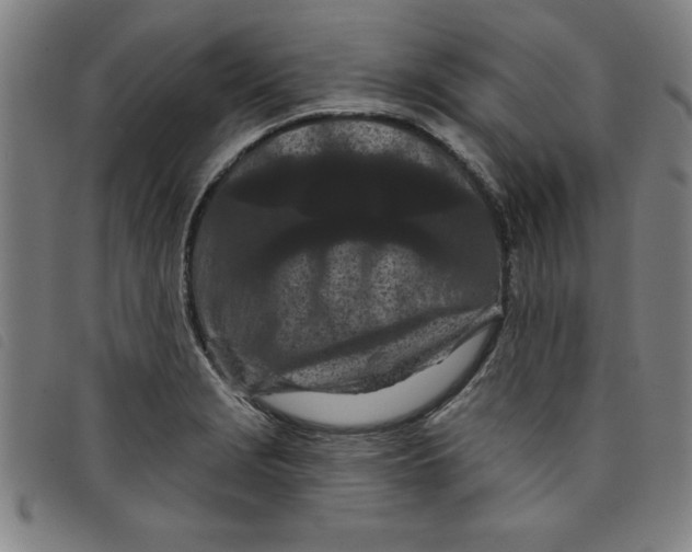 X0000097871229200804041543