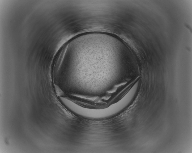 X0000097871230200804041543