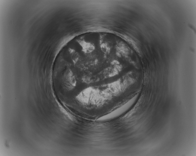 X0000097871231200804041543