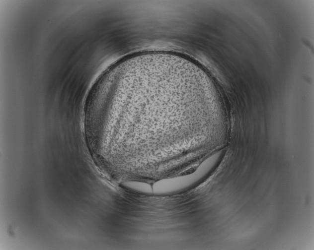 X0000097871232200804041543
