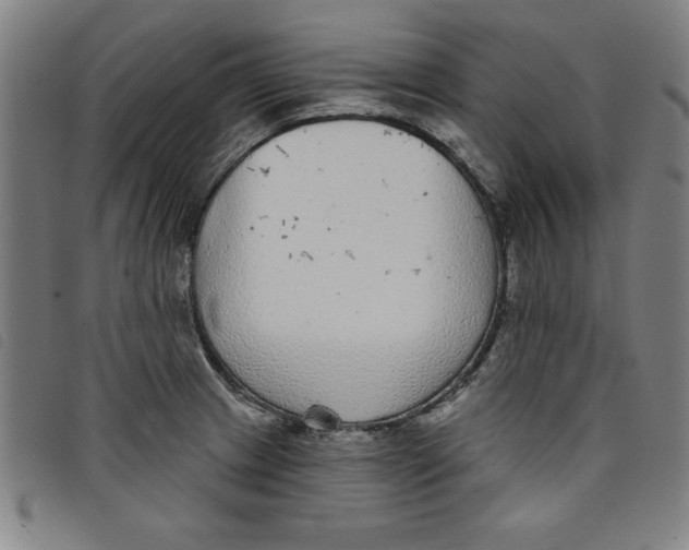 X0000097871233200804041543