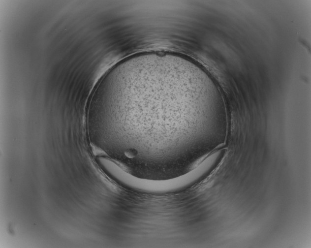 X0000097871234200804041544