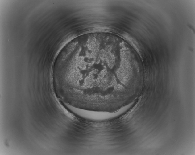 X0000097871235200804041544