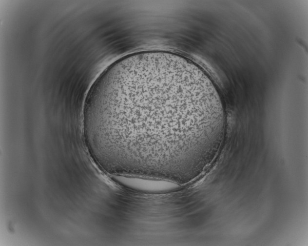 X0000097871236200804041544