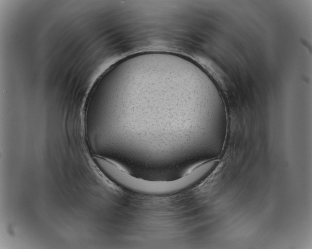 X0000097871238200804041544