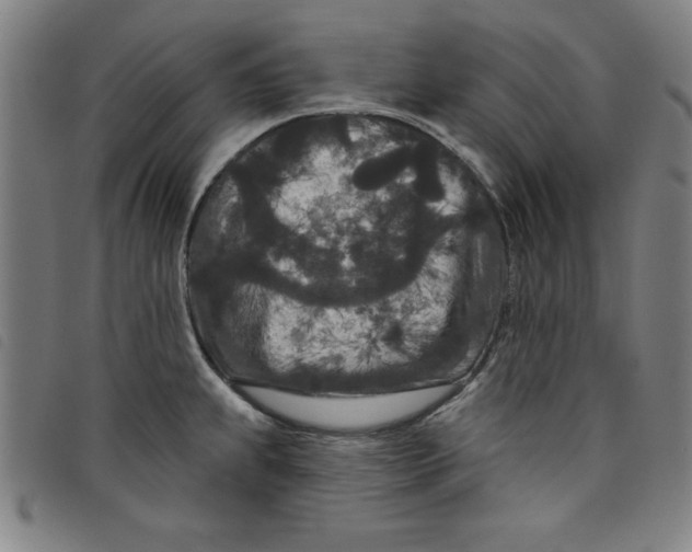 X0000097871239200804041544