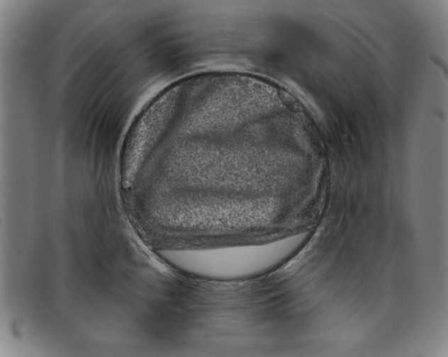 X0000097871240200804041544