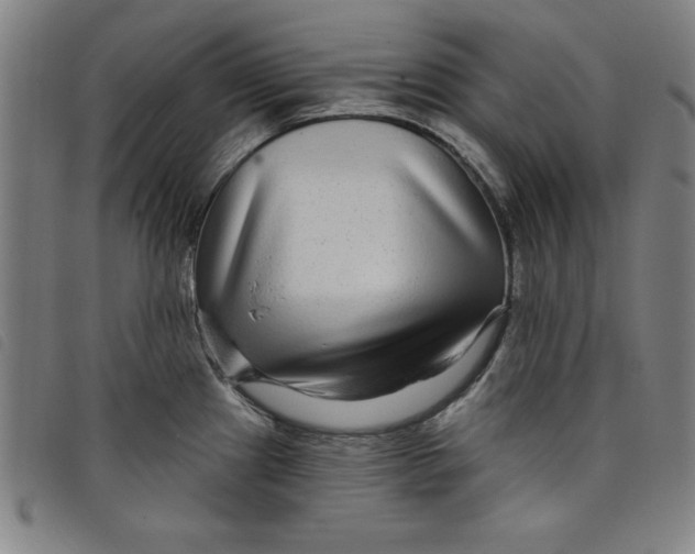 X0000097871241200804041544