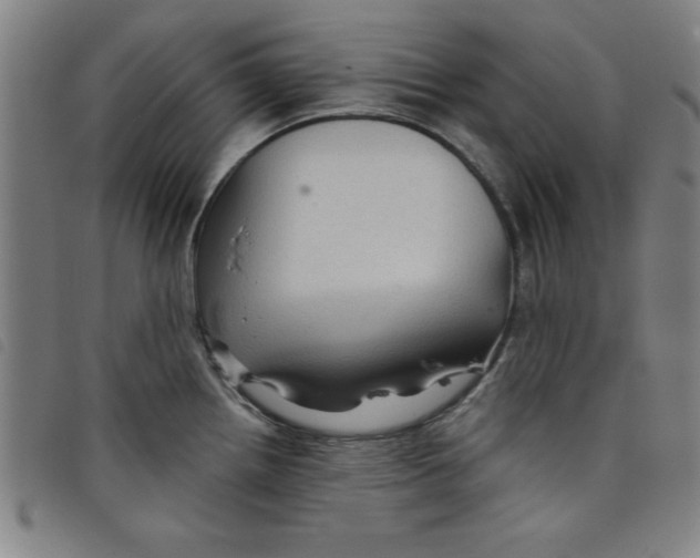 X0000097871242200804041544