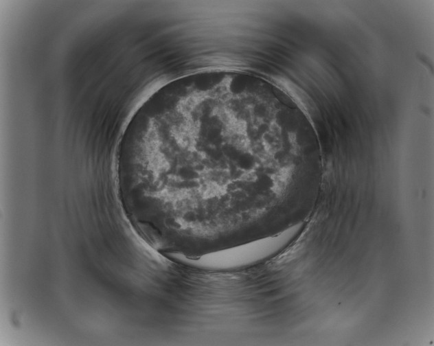 X0000097871243200804041544