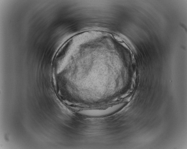 X0000097871244200804041544