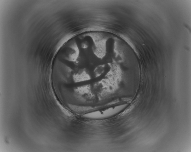 X0000097871245200804041544