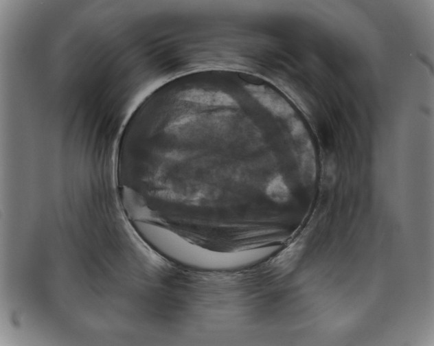X0000097871246200804041544