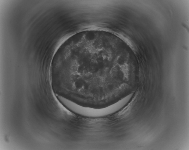X0000097871247200804041544
