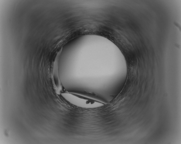 X0000097871250200804041543