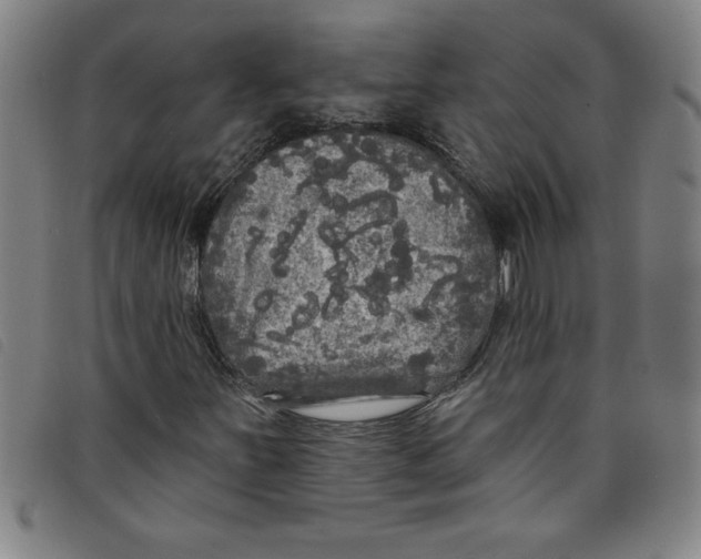 X0000097871251200804041543