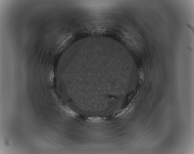 X0000097871252200804041543