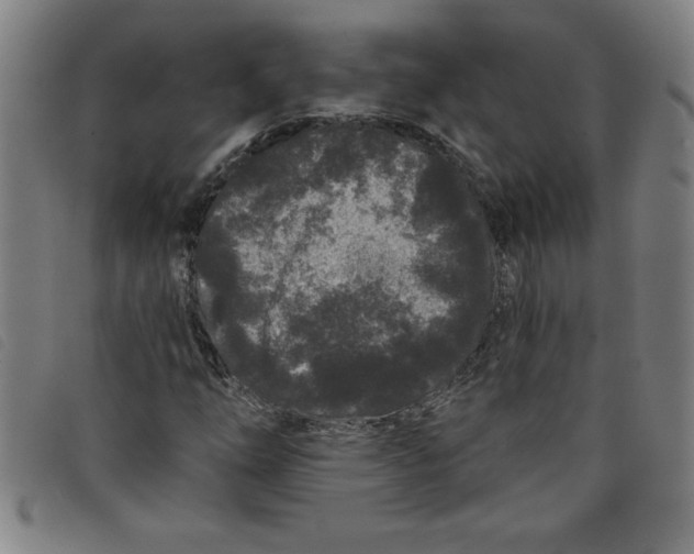 X0000097871254200804041543