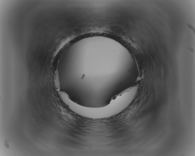 X0000097871256200804041543