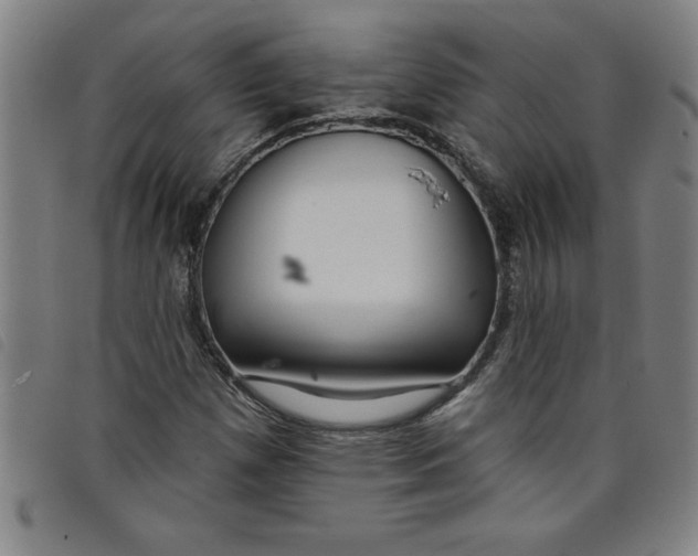 X0000097871257200804041543