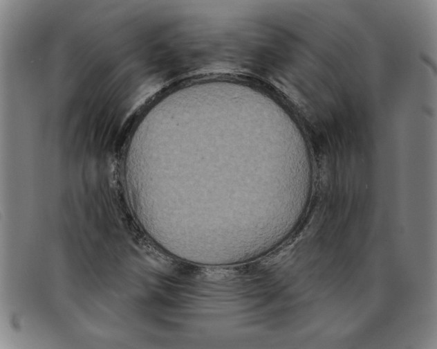 X0000097871258200804041543