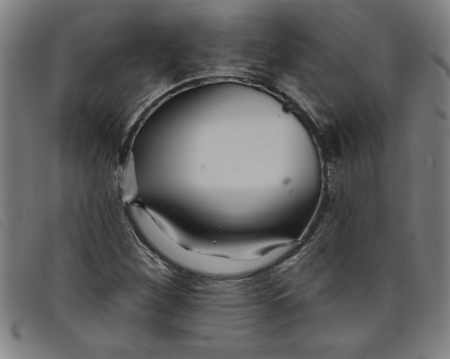 X0000097871260200804041543