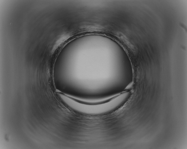 X0000097871261200804041543