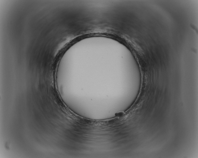 X0000097871262200804041543