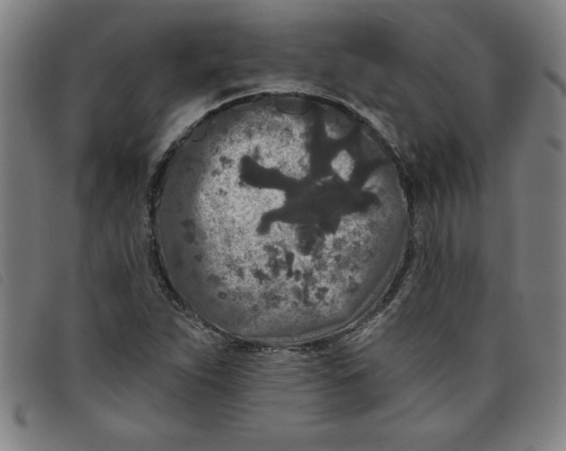 X0000097871263200804041543