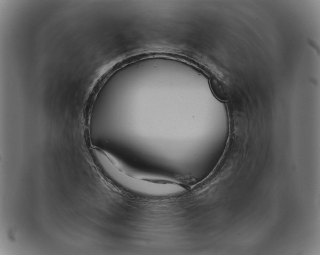 X0000097871264200804041543