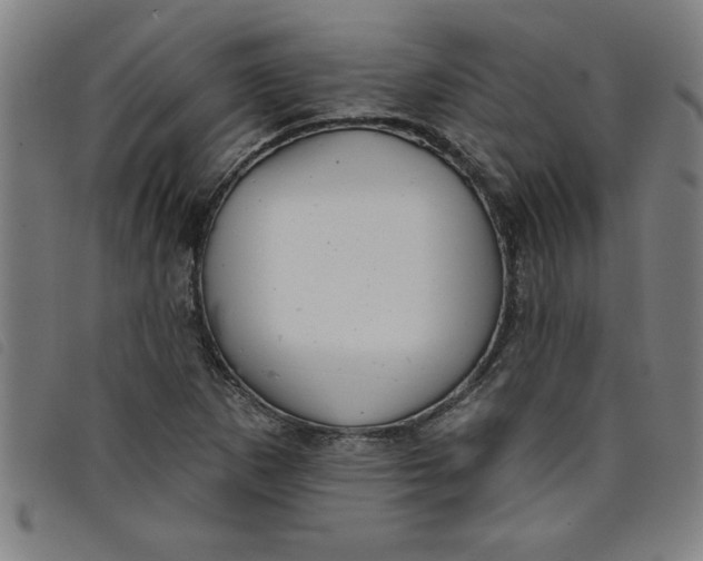 X0000097871265200804041543