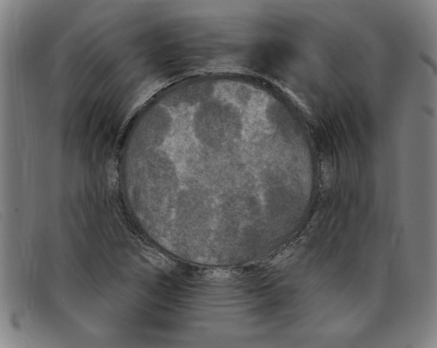 X0000097871266200804041543