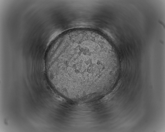 X0000097871267200804041543