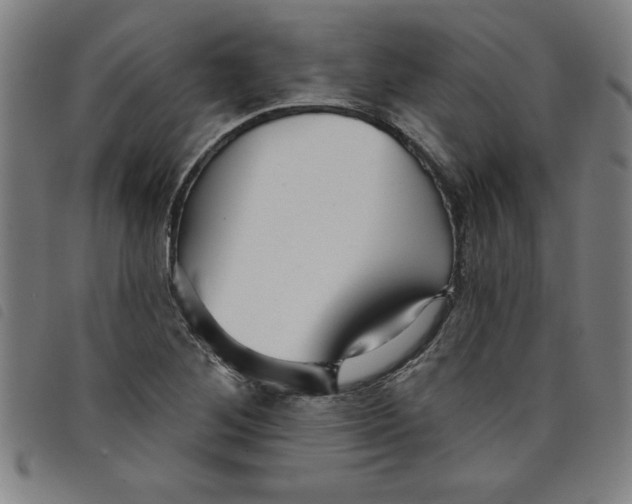 X0000097871268200804041543